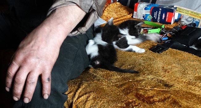 Bez tváře, bez hlasu